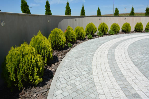 Best Driveway Paving Contractor  in Cadillac, MI